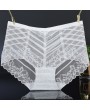 Sexy See Through Mesh Seamless Breathable Mid Waist Panties
