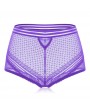 Plus Size High Waist Tummy Control Hollow Lace Panties