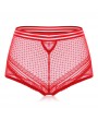 Plus Size High Waist Tummy Control Hollow Lace Panties