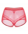 Plus Size High Waist Tummy Control Hollow Lace Panties