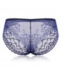 Plus Size See Through Lace Hip Lifting Mid Waist Panties